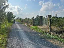 Bán Đất Củ Chi 528m² Mặt Tiền Rạch Cây Xanh - Giá Tốt 7.7 Triệu/m²