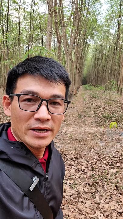 Bán Gấp 9 Sào Cao Su Minh Thắng, Bình Phước - Sẵn Sàng Khai Thác