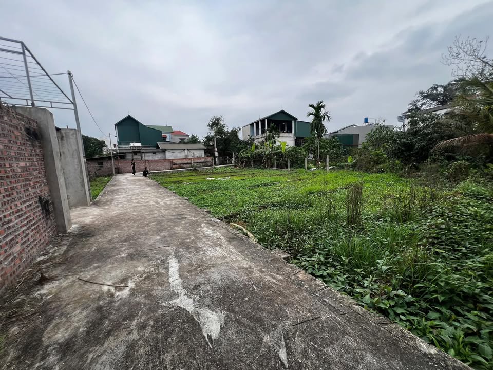 Đất Phú Kim Thạch Thất 62,6m² 1,7 tỷ - Sổ đỏ chính chủ