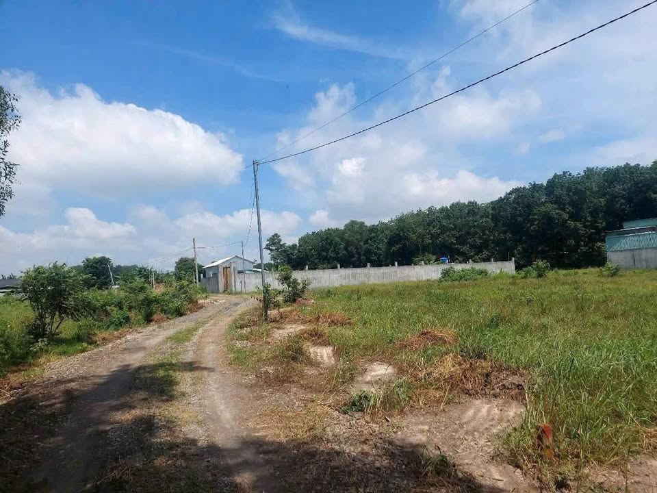 Đất thổ cư 100m² Phường Phú Chánh, Tân Uyên - Sổ hồng sẵn, ô tô vivu