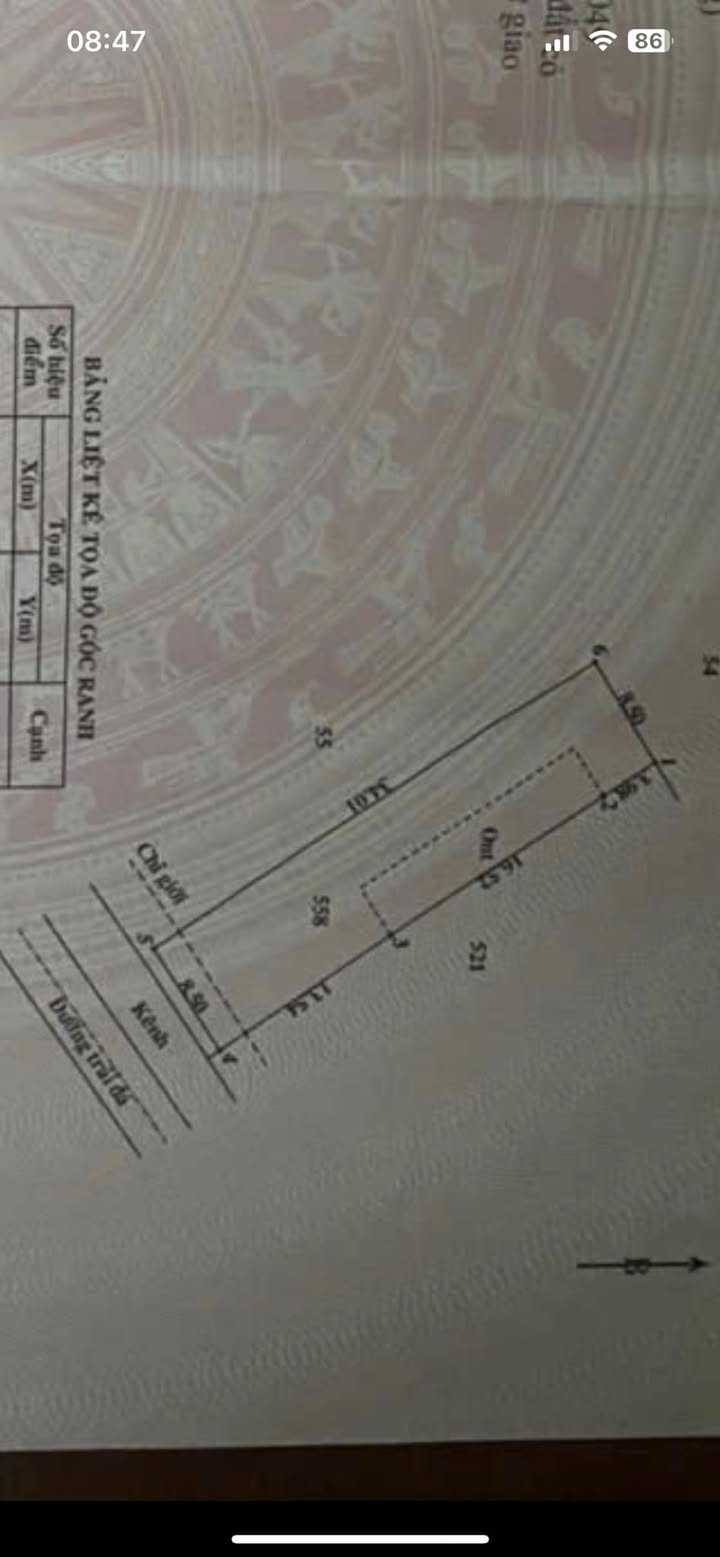 Nhà cấp 4 Đường Trải Đa Xanh, Bình Chánh - 2.2 tỷ, 289m², 4 PN, Xe Tải Vào Nhà