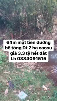 Đất Rẫy Bình Phước 2ha, Giá 3.3 Tỷ - Đầu tư dài hạn, sinh lời bền vững!