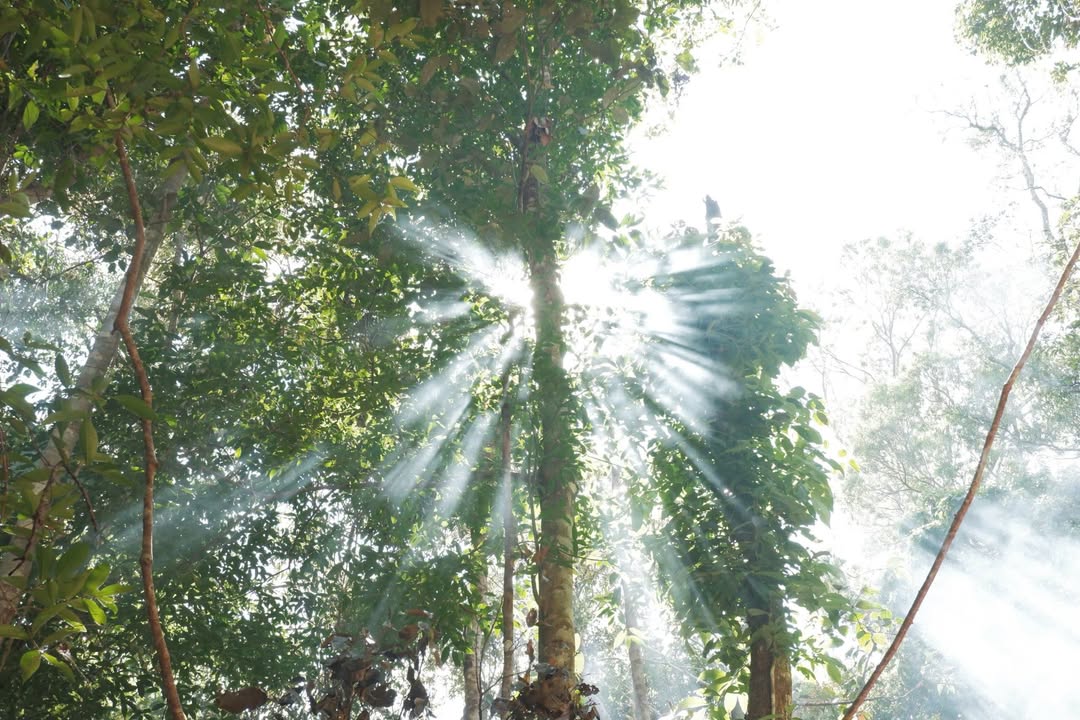 Cho thuê căn hộ 4PN Ninh Xá, Bắc Ninh - Ô tô đỗ cửa, Giá 12 Triệu/tháng