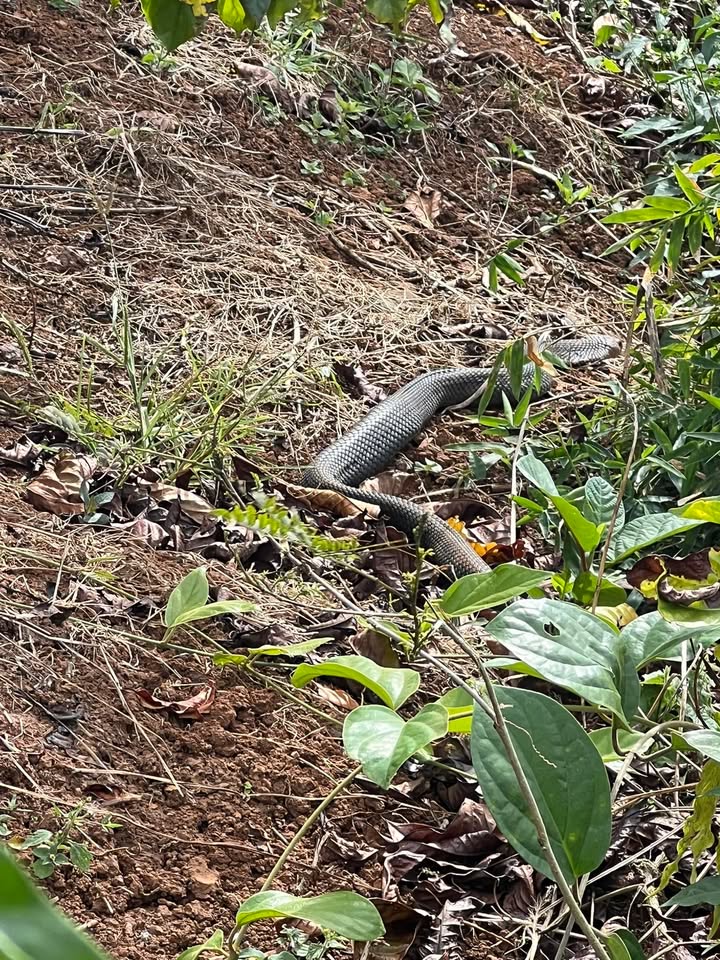 Đất nền Nhơn Trạch 450m² giá 430 triệu - Tiềm năng tăng giá vượt trội!