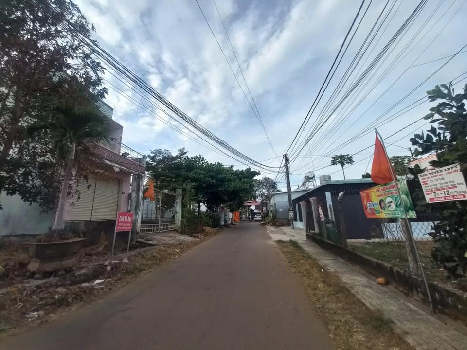 Đất nền Bảo Bình Cẩm Mỹ 137m² – Sổ đỏ chính chủ, xây dựng tự do!