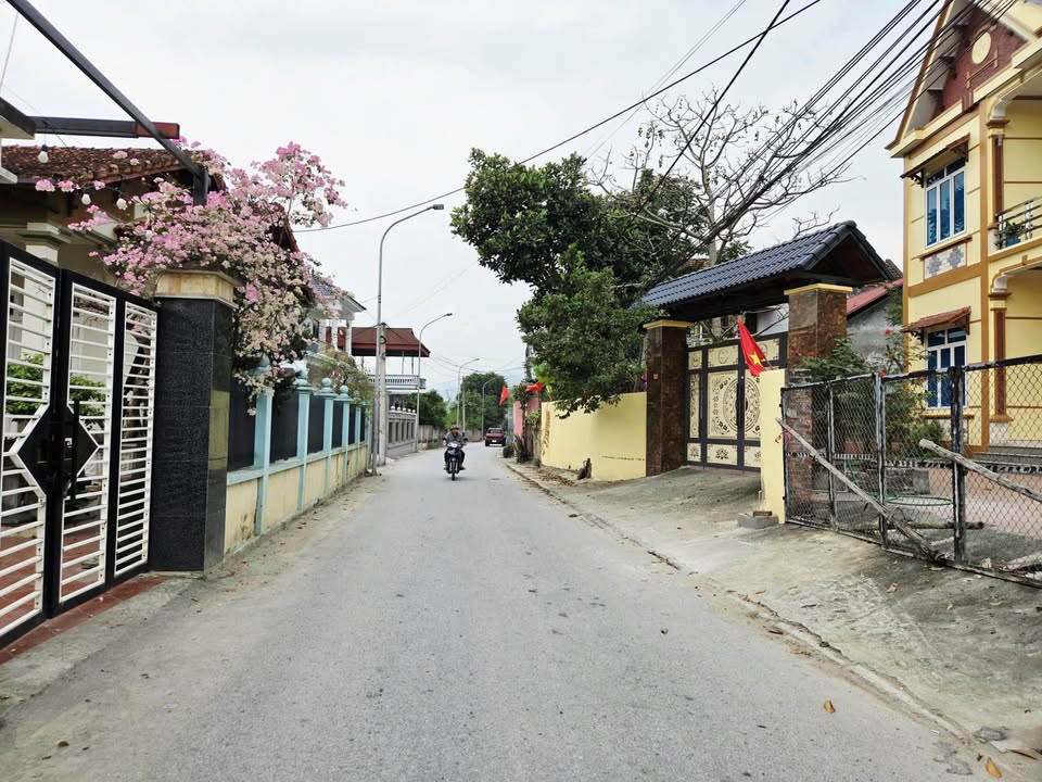 Đất nền Hồ Sơn Tam Đảo 116m² - Tiềm năng tăng giá vượt trội!