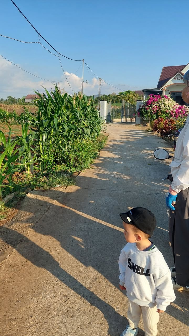 Đất nền Tân Hội 170m² giá 620 triệu - Xây dựng tự do!