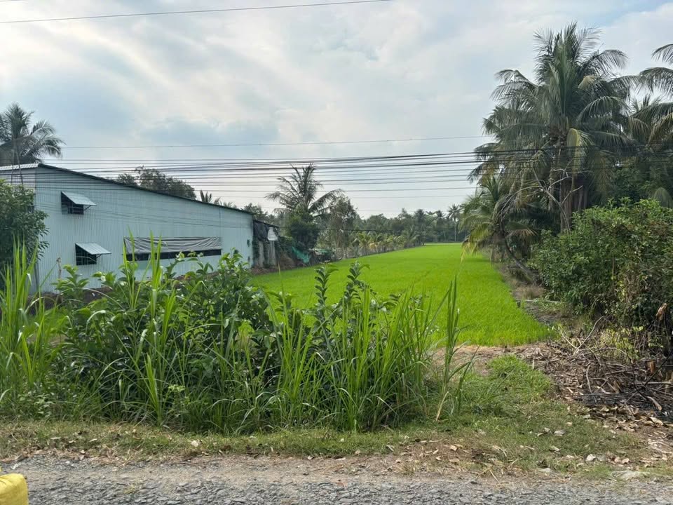 Bán Gấp 4721m² Đất Vườn Mặt Tiền ĐH22 Vũng Liêm, Vĩnh Long - Giá Đầu Tư