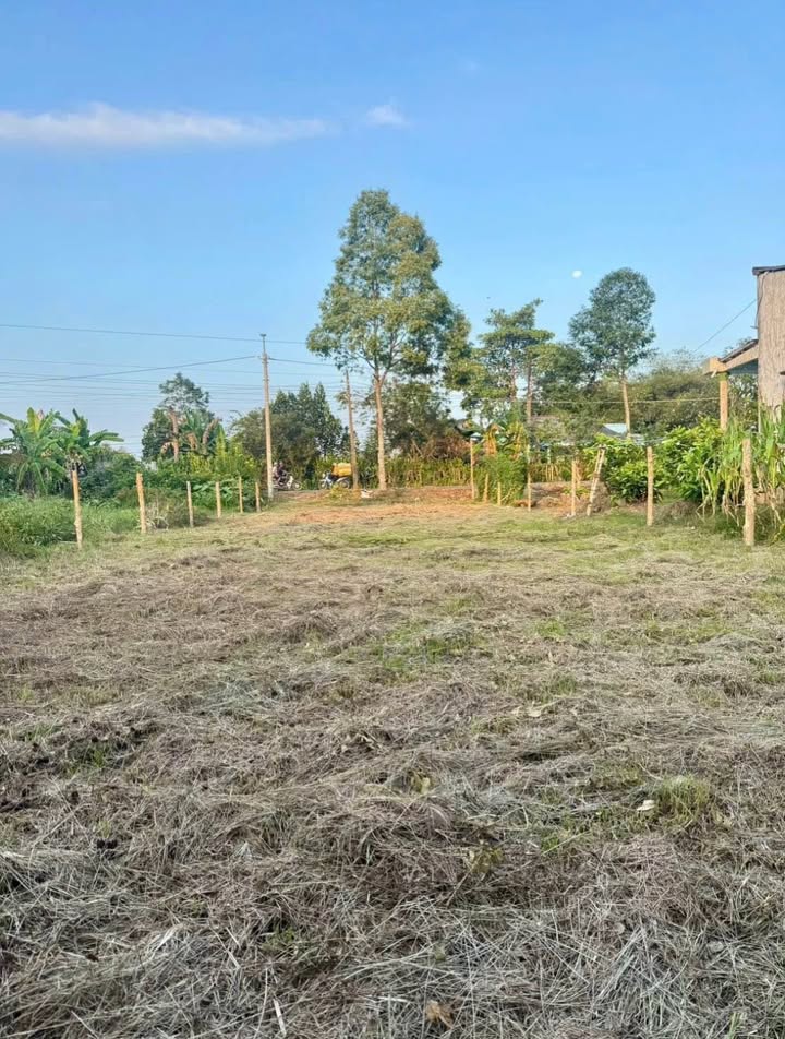 Đất Nền An Phước, Mang Thít - 247m² Thổ Cư, Giá 475 Triệu