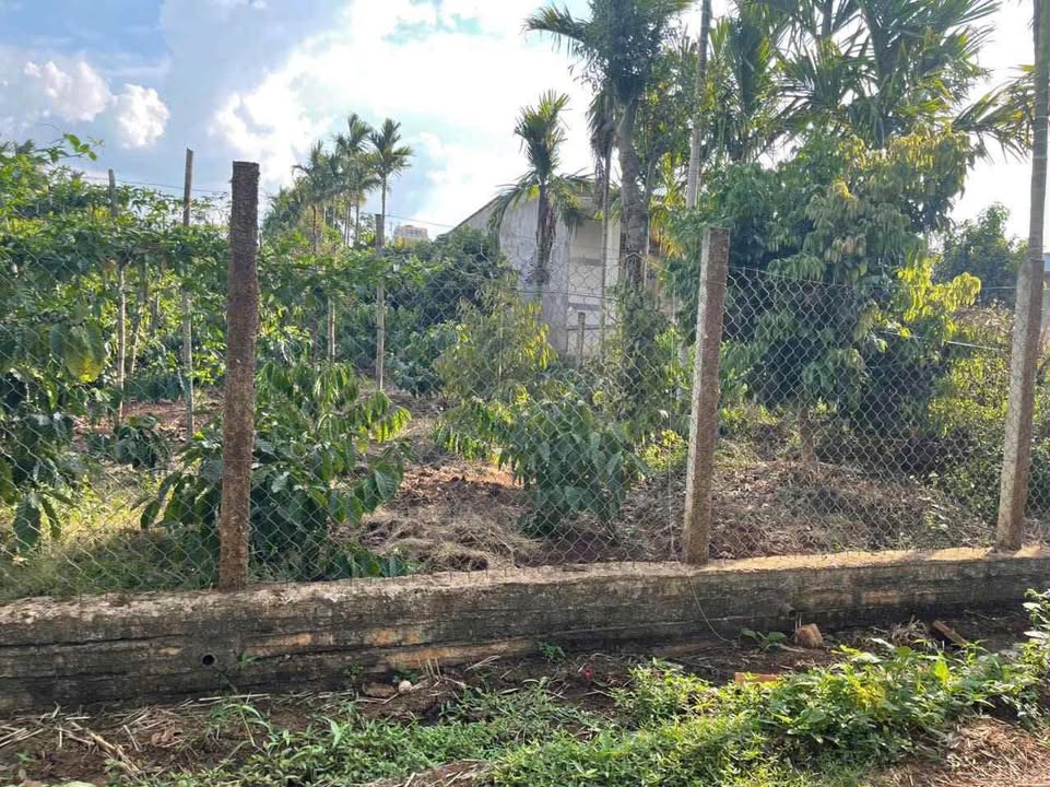 Đất nền Phú Xuân, Krông Năng 400m² - Tiềm năng tăng giá vượt trội!