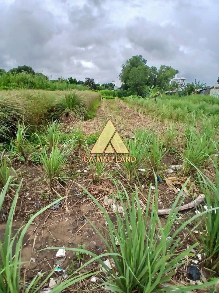 Đất thổ cư Phường 1 Cà Mau 189m² - Sẵn sàng xây dựng, giá 2 tỷ