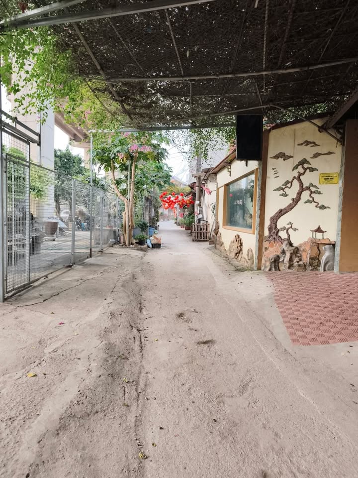 Đất nền Nhật Tảo Tây Hồ 63m² + 74m² LK - Sổ đỏ chính chủ!