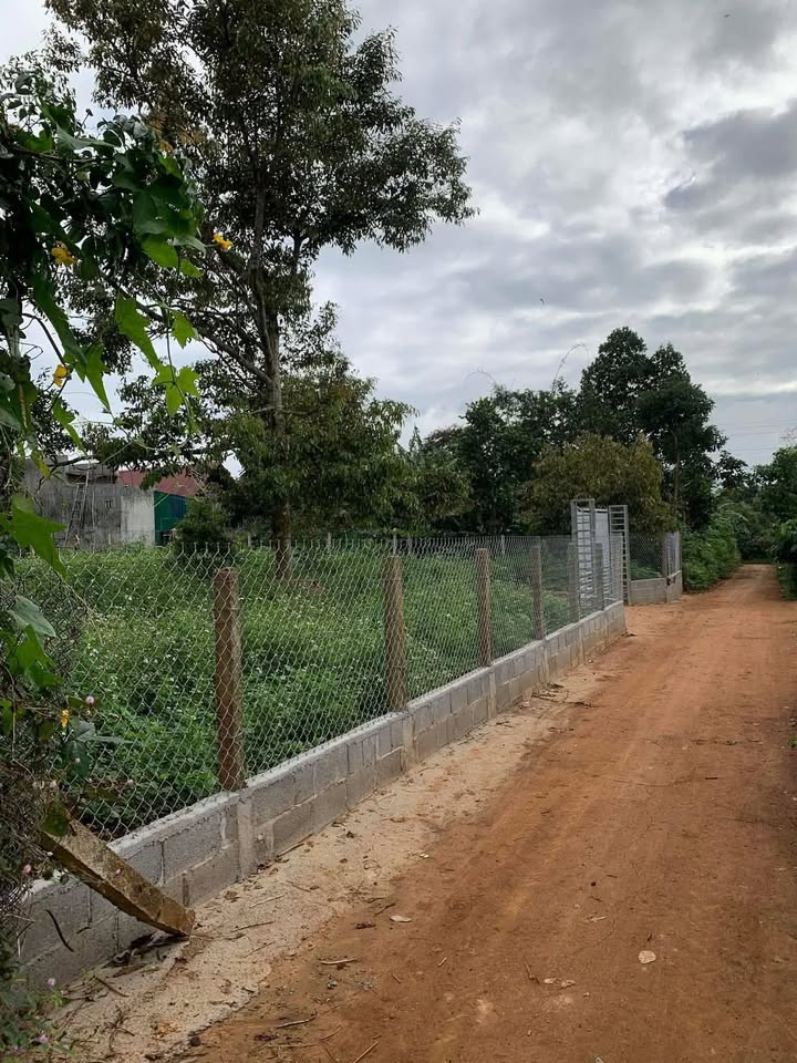 Bán Gấp Đất Vườn Ea Nuôl, Đắk Lắk - 500m² Giá Tốt