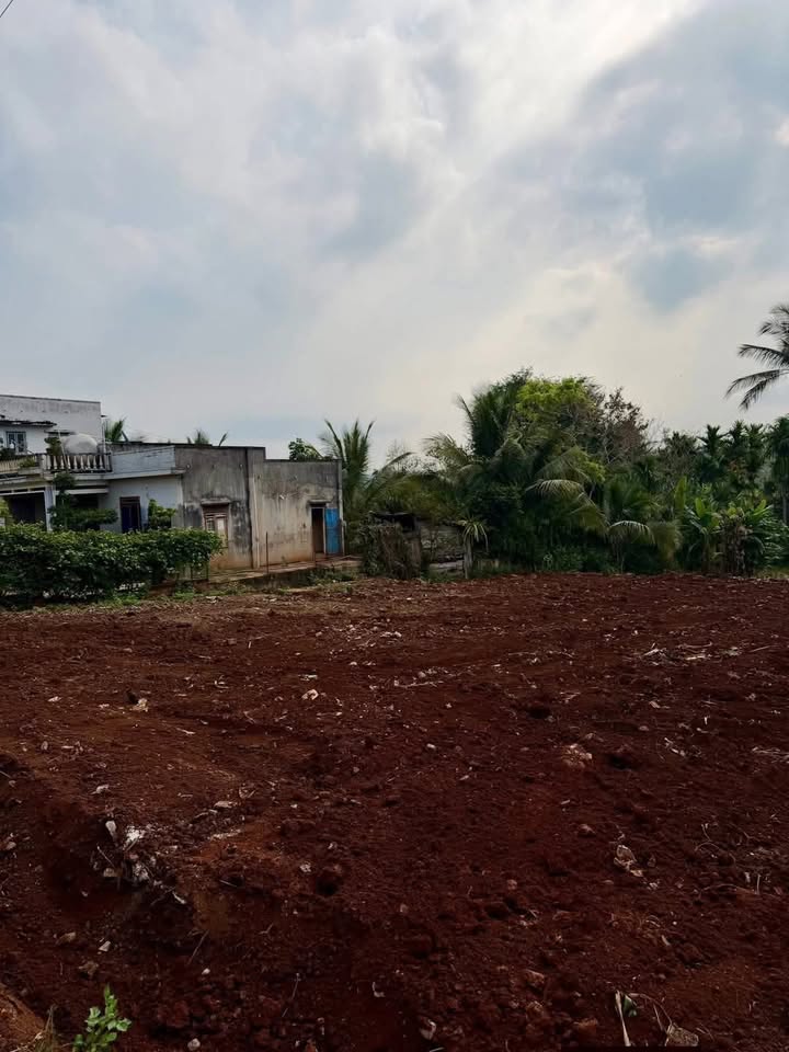 Land Cư M'gar 792m² giá 175 triệu/m - Sổ đỏ chính chủ