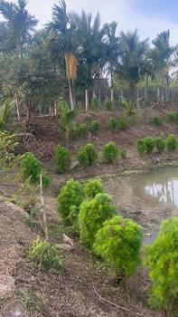 Farm 2300m² Đắk Lắk - View Triệu Đô, Tiềm Năng Đầu Tư Vượt Trội