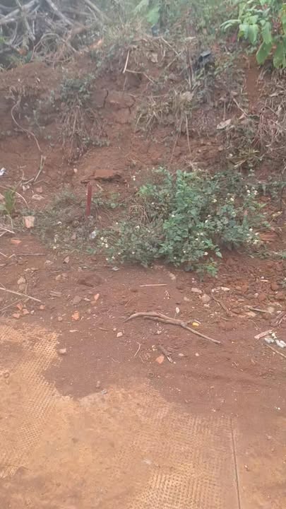 Đất nền 240m² Xã Cư Pơng, Đắk Lắk - Sổ đỏ chính chủ, giá đầu tư