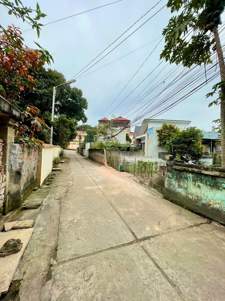 Đất nền Phường Nông Trang, Việt Trì 74m² - Tiềm năng tăng giá cực tốt!