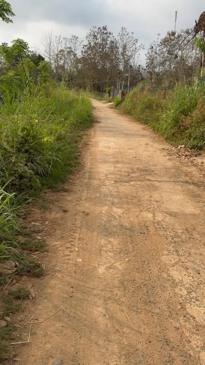 Đất Nông Nghiệp Đắk Nông 3600m² - Mặt Tiền Đường Bê Tông, Kinh Doanh Tiềm Năng