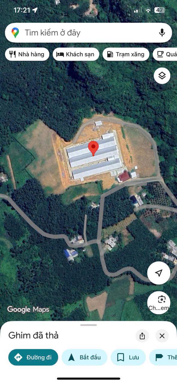 Trang trại Lương Sơn Hòa Bình 4.3ha - Hoạt động ngay, sinh lời bền vững!