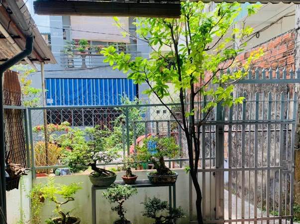 Nhà 2 Tầng 78m² Hẻm Hoàng Văn Thụ, Quy Nhơn - Giá 3.x Tỷ