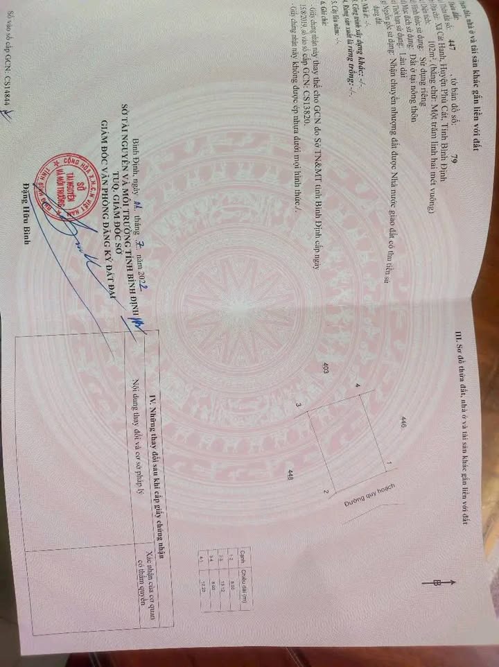 Đất nền Quốc lộ 1A Phù Cát 193m² - Pháp lý rõ ràng