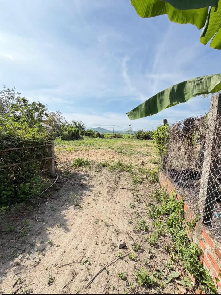 Đất nền Phù Cát, Bình Định 380m² - Giá tốt hiếm có!