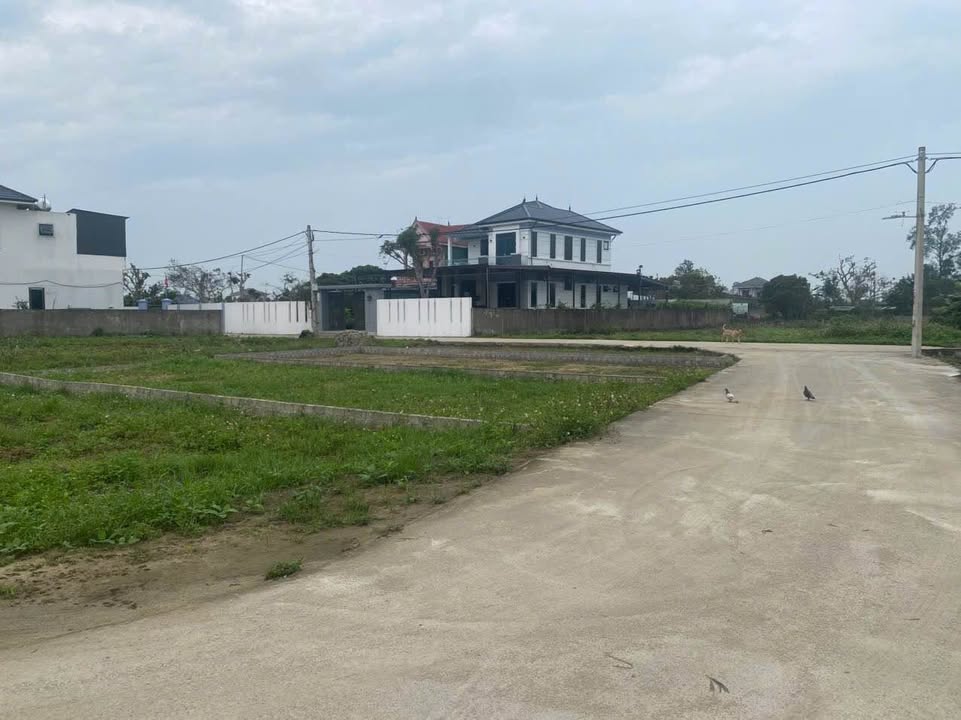 Đất nền Nghi Phong, TP Vinh 118m² - Tiềm năng tăng giá vượt trội!