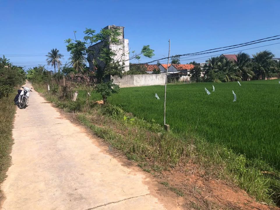 Đất nền Ninh Thọ 1154m² 1.75 tỷ - Sổ hồng chính chủ