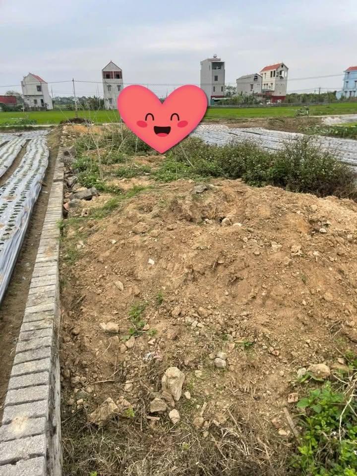 Đất Nền Việt Tiến, Việt Yên - 137.5m² - Sổ Đỏ Chính Chủ - Giá Đầu Tư 1.6 Tỷ