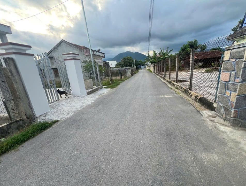 Đất Vạn Lương - 115.8m² Thổ Cư - Giá 850 Triệu - Bán Gấp