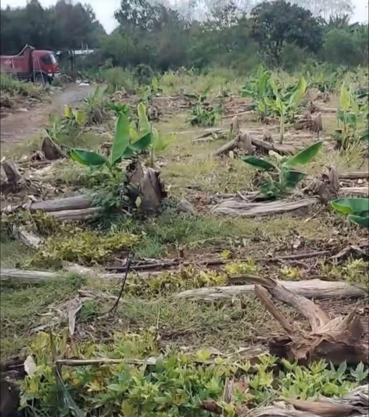 Đất Vàng Kim Đình, Long Khánh 3500m² - Sổ Đỏ Sẵn Sàng, Giá Đầu Tư 17.15 Tỷ