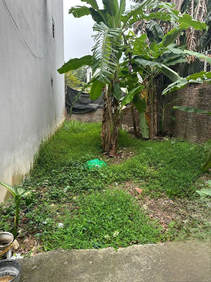 Đất Sóc Sơn 48m² Sổ Đỏ Sẵn Sàng - Gần Sân Bay Nội Bài, Giá Tốt