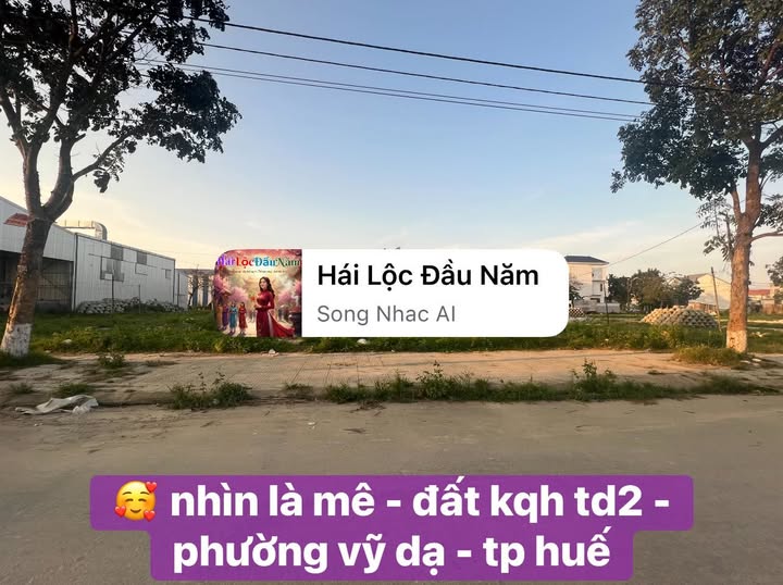 Đất nền Vỹ Dạ, Huế 300m² - Sổ đỏ chính chủ, vị trí đắc địa!