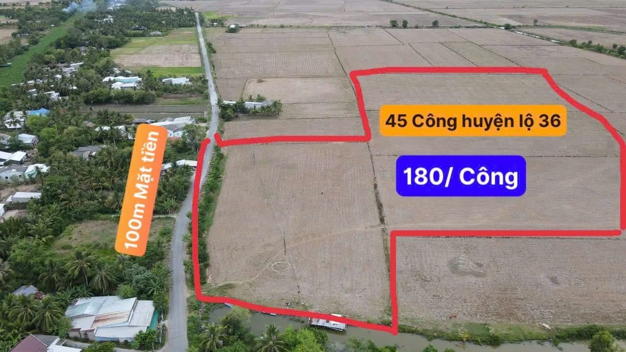 Đất nền Trần Đề 1000m² giá 180 triệu - Tiềm năng tăng giá vượt trội!