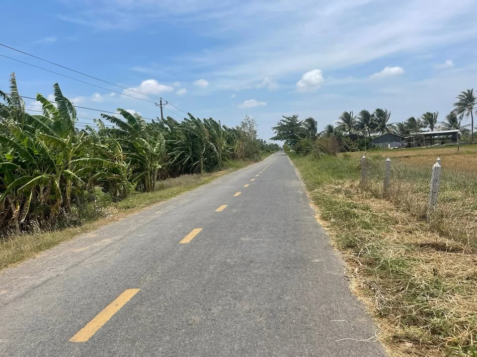 Đất Nền Mặt Tiền Lộ Nhựa 933C, Mỹ Xuyên, Sóc Trăng - 1000m² Giá Tốt