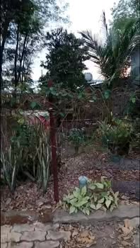 Bán Gấp Nhà Trọ Phước Hòa, TDM 200m² - 8 Phòng + Kiot - 5 Tỷ TL