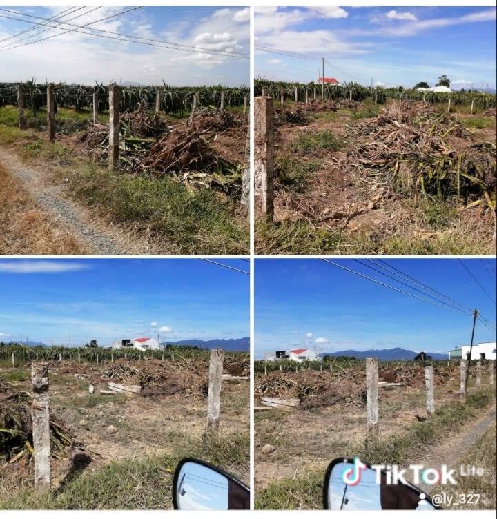 Đất Vườn Mặt Tiền Hàm Mỹ, Đà Lạt - 1500m² Sẵn Thổ Cư, Giá Thỏa Thuận