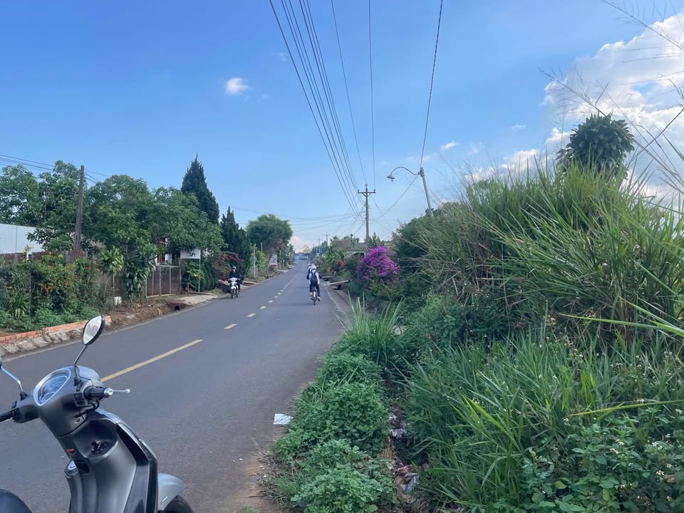 Đất Vàng Bảo Lâm 480m² (12x40m) - Sổ Đỏ, Thế Đất Cao, Gần QL20