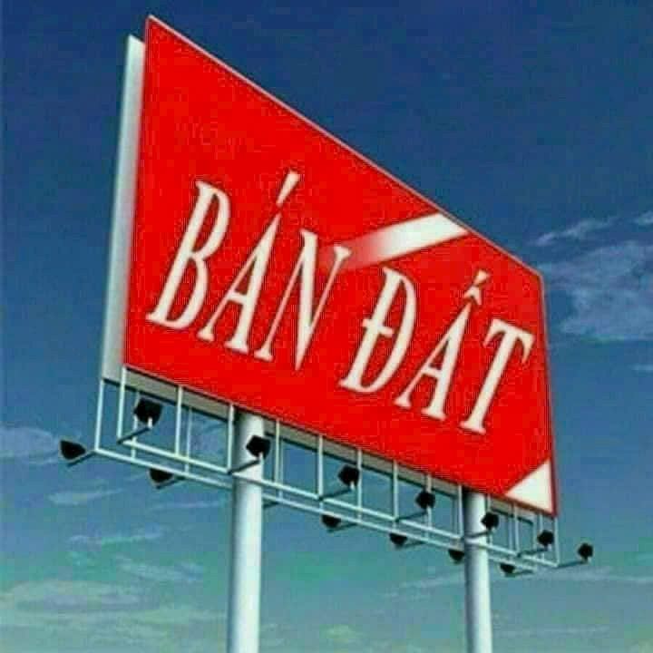 Đất Vàng Đường Bạch Đằng - Quảng Trường Bồng Sơn, Hoài Nhơn - 277m² Nở Hậu