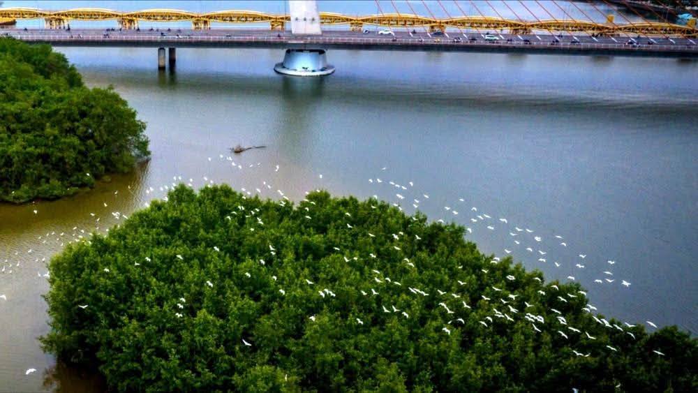 Bán gấp nhà mặt tiền Trần Đức Thông, Sơn Trà - 80m², 11.9 tỷ