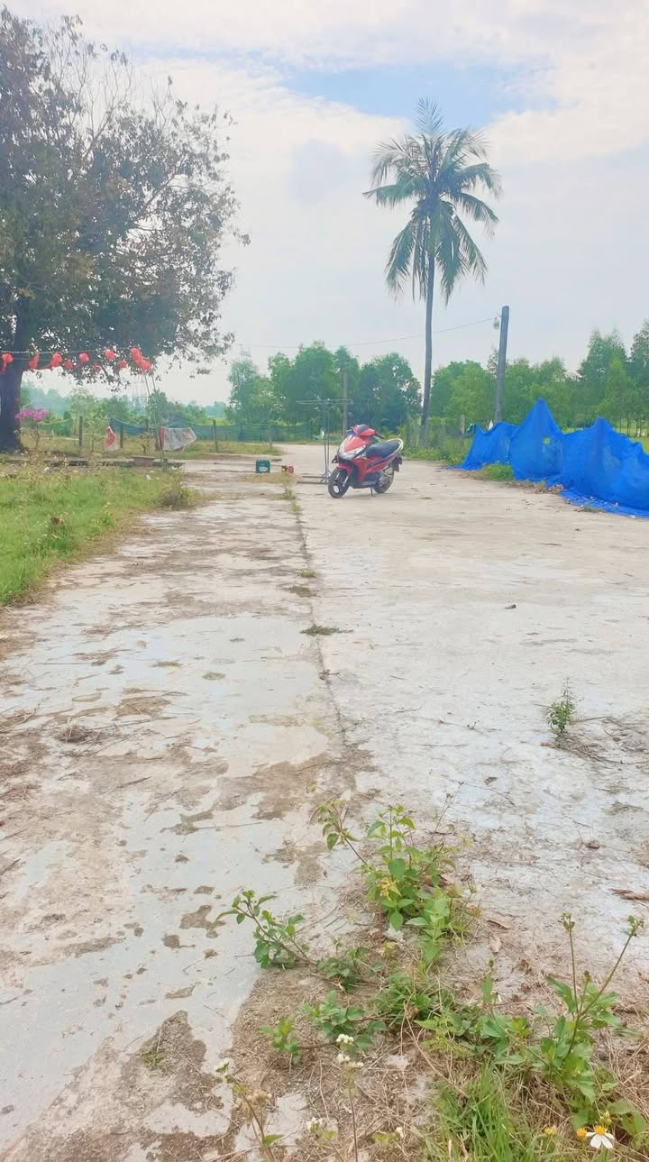 Đất Nền Hòa Tiến 120m² - View Cánh Đồng, Sẵn Sổ Đỏ, Giá Chỉ 1.x Tỷ