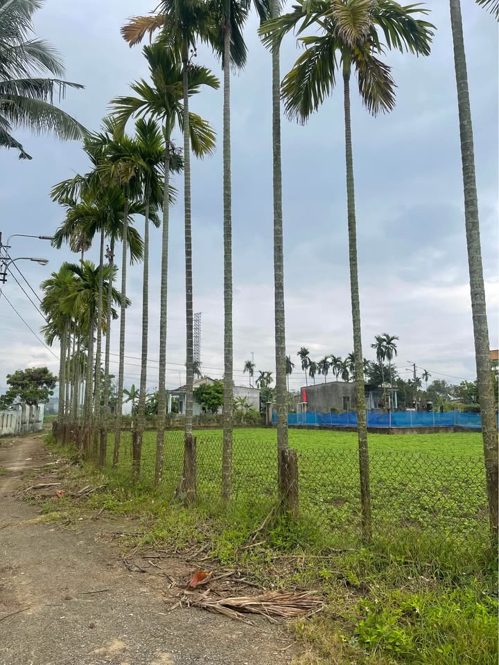 Đất nền Hòa Vang 150m² giá 1.1 tỷ - Sổ hồng chính chủ!