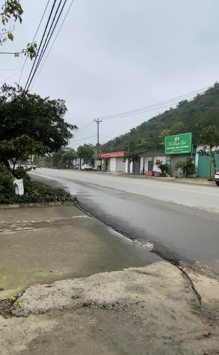 Nhà Mặt Tiền Lam Sơn, Đông Sơn, Tam Điệp - Kinh Doanh Đỉnh Cao, 100m²