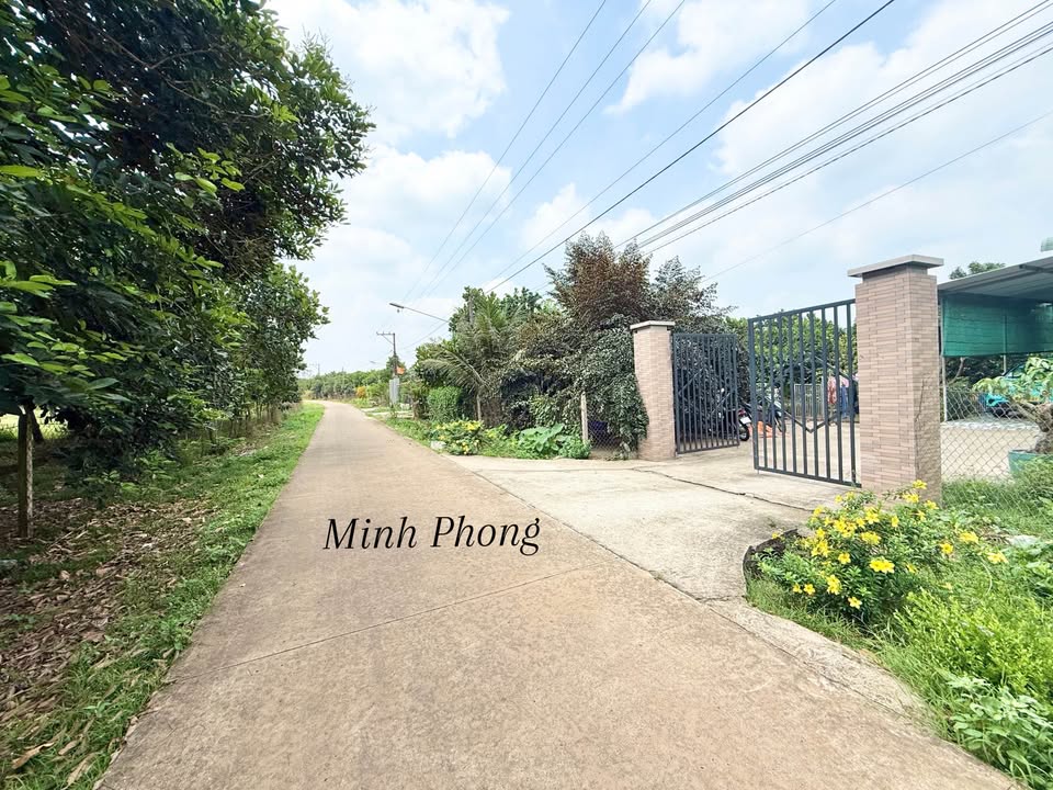 Bán Gấp Vườn Trái Cây 504m² Xã Bình Lộc, Long Khánh - Giá Tốt Đầu Tư!