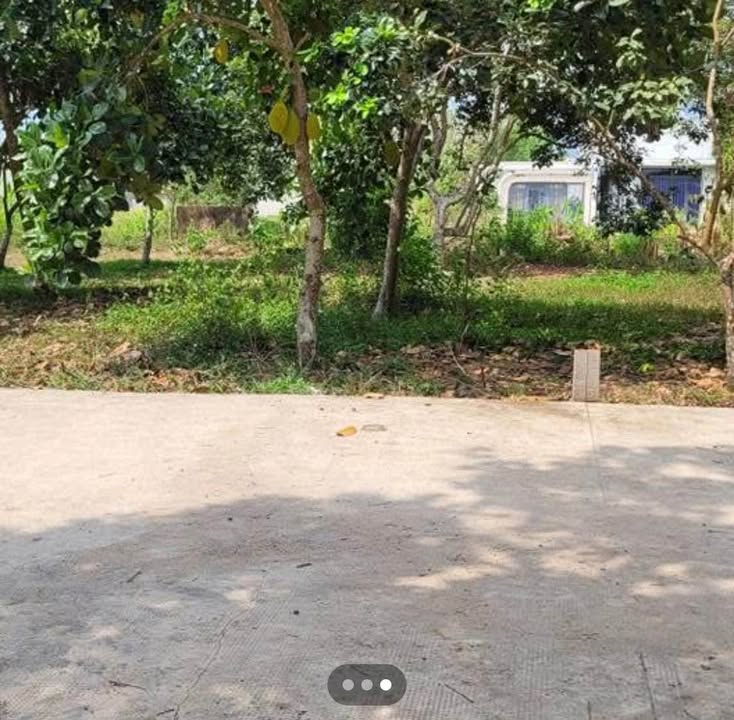 Đất nền Sổ hồng chính chủ 210m² đường Lê A, Hà Đông - Giá 500 triệu