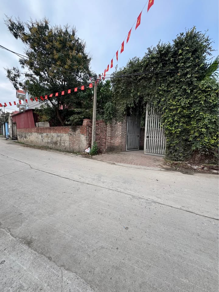 Đất nền 110m² Thuận Thành, Bắc Ninh - Giá 4 tỷ, Tiềm năng sinh lời