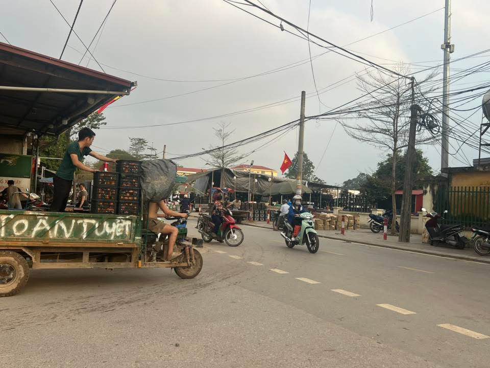 Đất Vàng Thanh Lâm - Mê Linh: 200m² Căn Góc, Sát QL23, Dòng Tiền Ổn Định