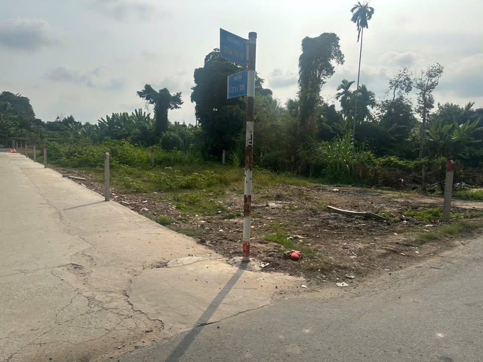 Đất nền Bình Mỹ, Củ Chi 80m² – Sổ đỏ chính chủ, Giá F0!