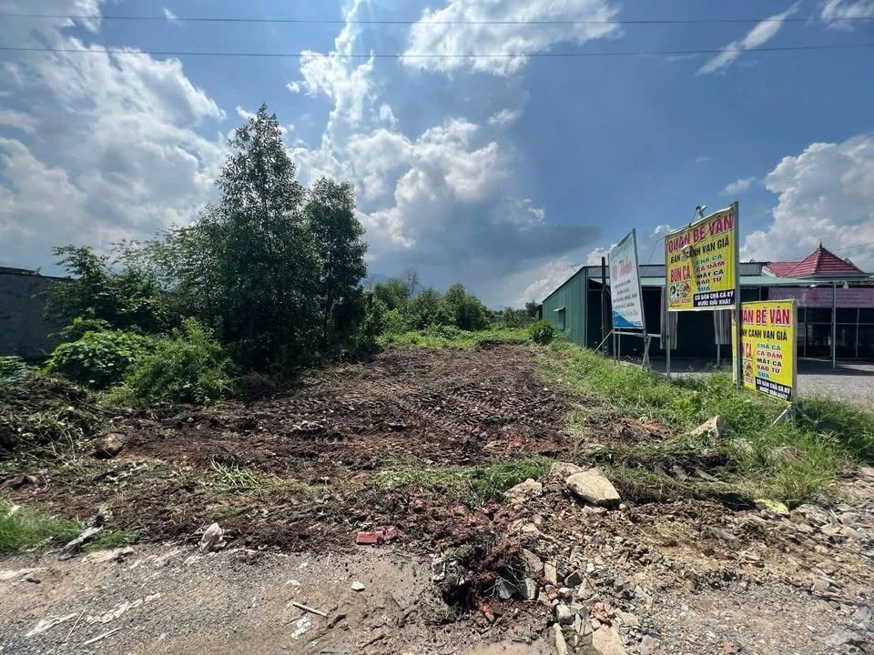 Đất Mặt Tiền QL 1A Ninh Hoà 381m² - Giá Tốt Đầu Tư