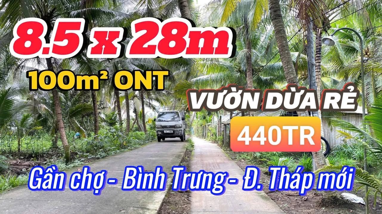 Đất Vườn 250m² Đồng Tháp - Sổ Hồng Thổ Cư, Oto Tới Đất
